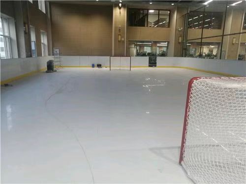 Synthetic ice rink